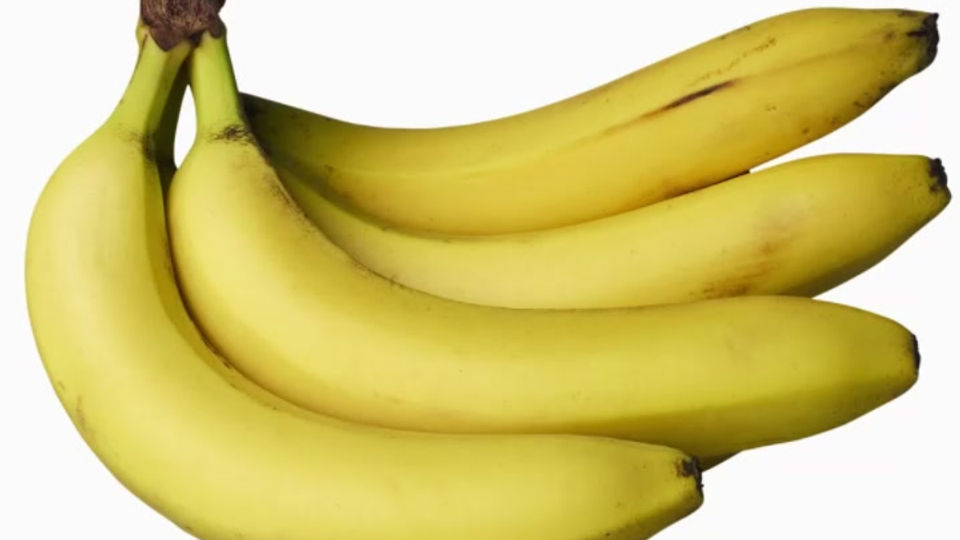Wie die Bananen zu uns kamen